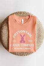 Load image into Gallery viewer, Cotton Tail Easter Bunny Glitter Graphic T Shirts