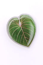 Load image into Gallery viewer, SP24- Plant Lover Phone Grip Tropical Leaf