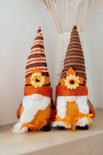 Load image into Gallery viewer, SP24- Fall Flowers Gnomes Set of 2
