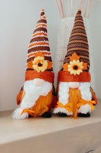 Load image into Gallery viewer, SP24- Fall Flowers Gnomes Set of 2
