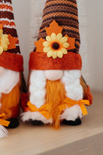 Load image into Gallery viewer, SP24- Fall Flowers Gnomes Set of 2
