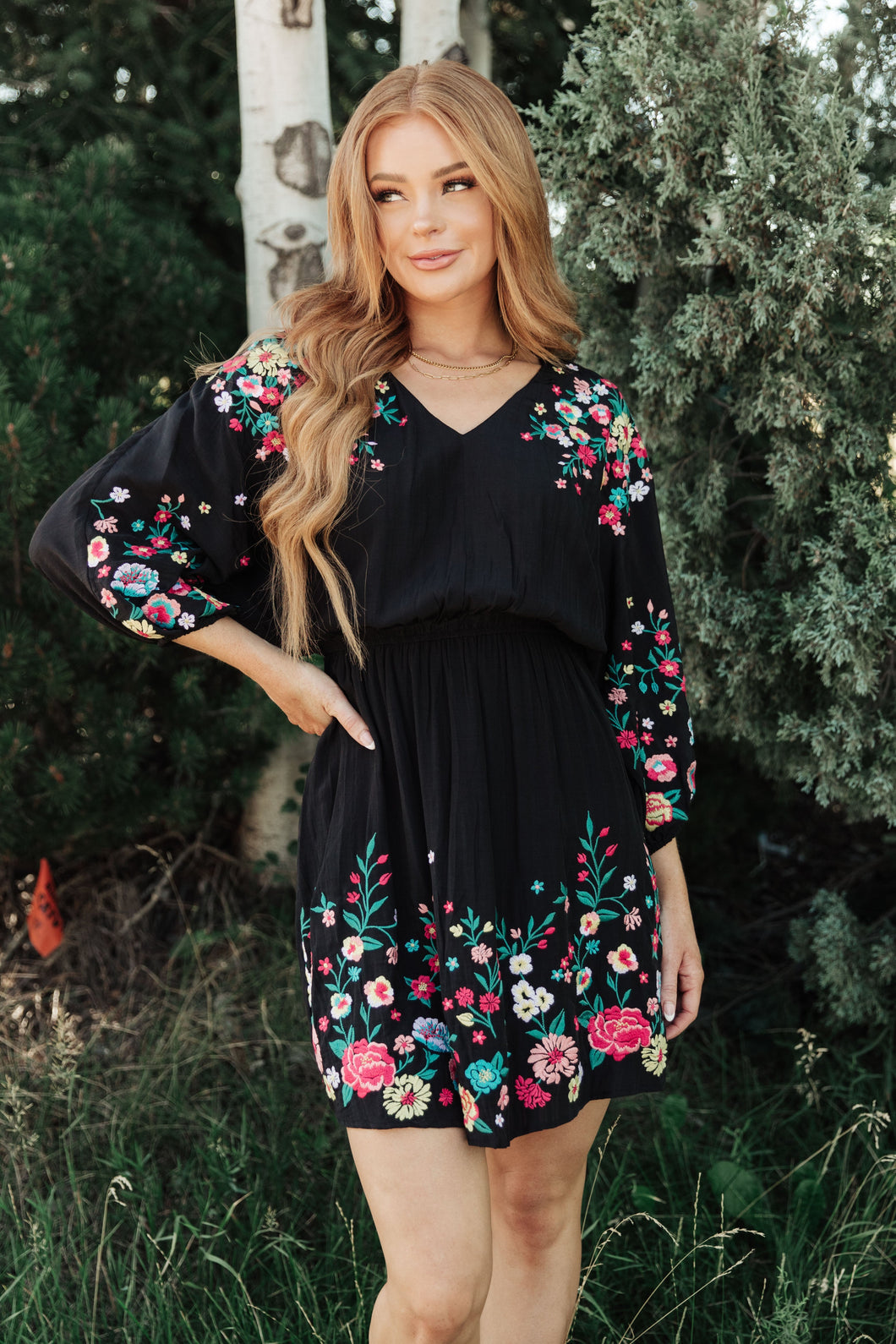 Happy To See You Floral Embroidered Dress (Reg & Curvy)