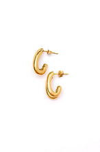 Load image into Gallery viewer, Waterproof, No Tarnish, Pushing Limits Gold Earrings
